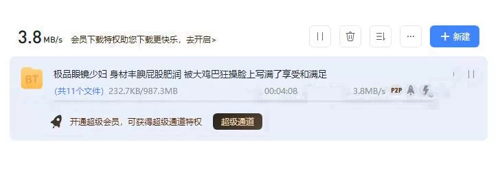 熟女少妇 极品眼镜少妇 身材丰腴屁股肥润 被大鸡巴狂操脸上写满了【1V+990M】
