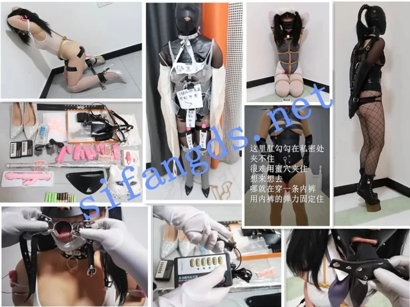 其他 国产工作室冬楚楚调教 电击 强高 失禁 放置大合集[18V【5+28g】