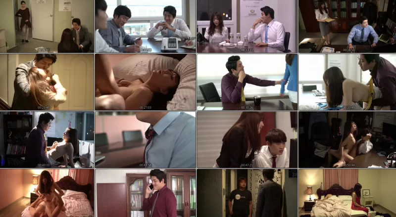 韩国 [韩国/三级] 善良的女秘书的目的  [韩语中字][MP4/1.9GB]【1v+1.9GB】