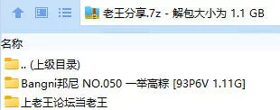 福利姬 Bangni邦尼 NO.050 一举高粽【93P6V+1.11G】