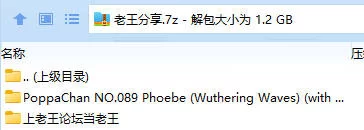 福利姬 PoppaChan Phoebe (Wuthering Waves) (with videos)【109P11V+1.19GB】