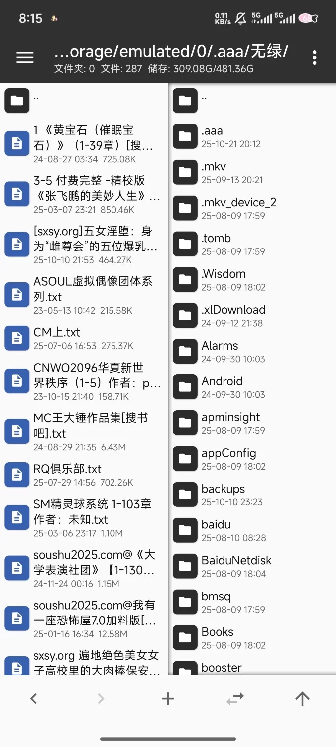 合集 小说合集1【+1G】