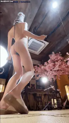 国产模特 [B站 Yiko湿润兔 咬一口兔娘]10月作品 双视角骚舞 性感丝袜【187P+3V+979M】