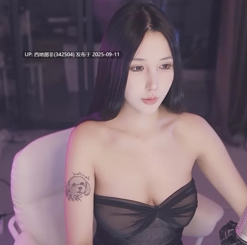 自拍 [B站UP主][潇洒哥]高颜巨乳 透视点 半裸裸舞 抖胸舞 大摆锤等【1+2.5g】
