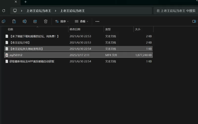 ASMR macoto 真琴25 03 12【1+1.76G】