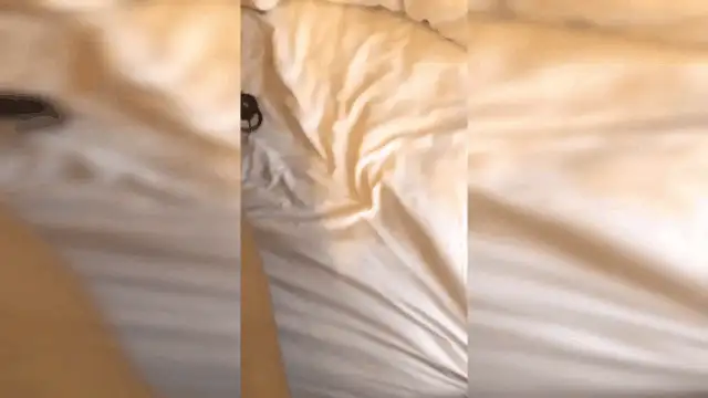 美女御姐 曾火爆b站超大胆露出福利姬浆果儿未流出作品21分钟无套【2+2079MB】