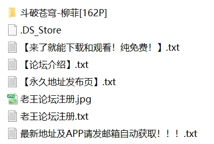 有撸点 斗破苍穹-柳菲【162P+1.04G】