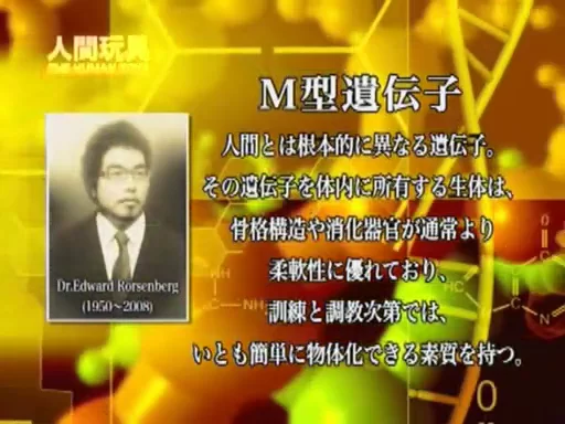 3p/多p 妄想系列之人间沙袋-人间玩具【2v+784mb】
