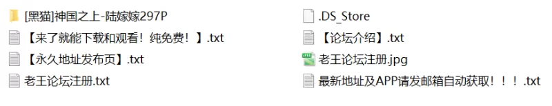 有撸点 [黑猫]神国之上-陆嫁嫁【297P+865M】