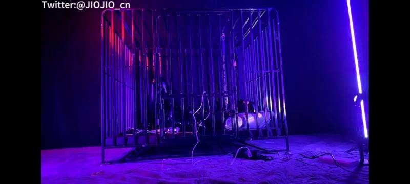 合集 [JIOJIO]大合集-五部曲，极稀有资源，调教伪娘，拘束，K9，电击等【29V+50G】
