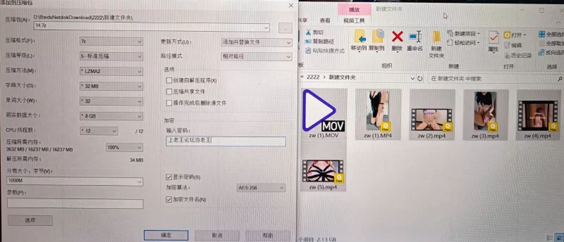 福利姬 自慰小合集2【6v+2.2G】