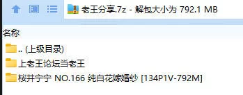 福利姬 桜井宁宁(宁宁子同学) NO.166 纯白花嫁婚纱【134P1V+792M】