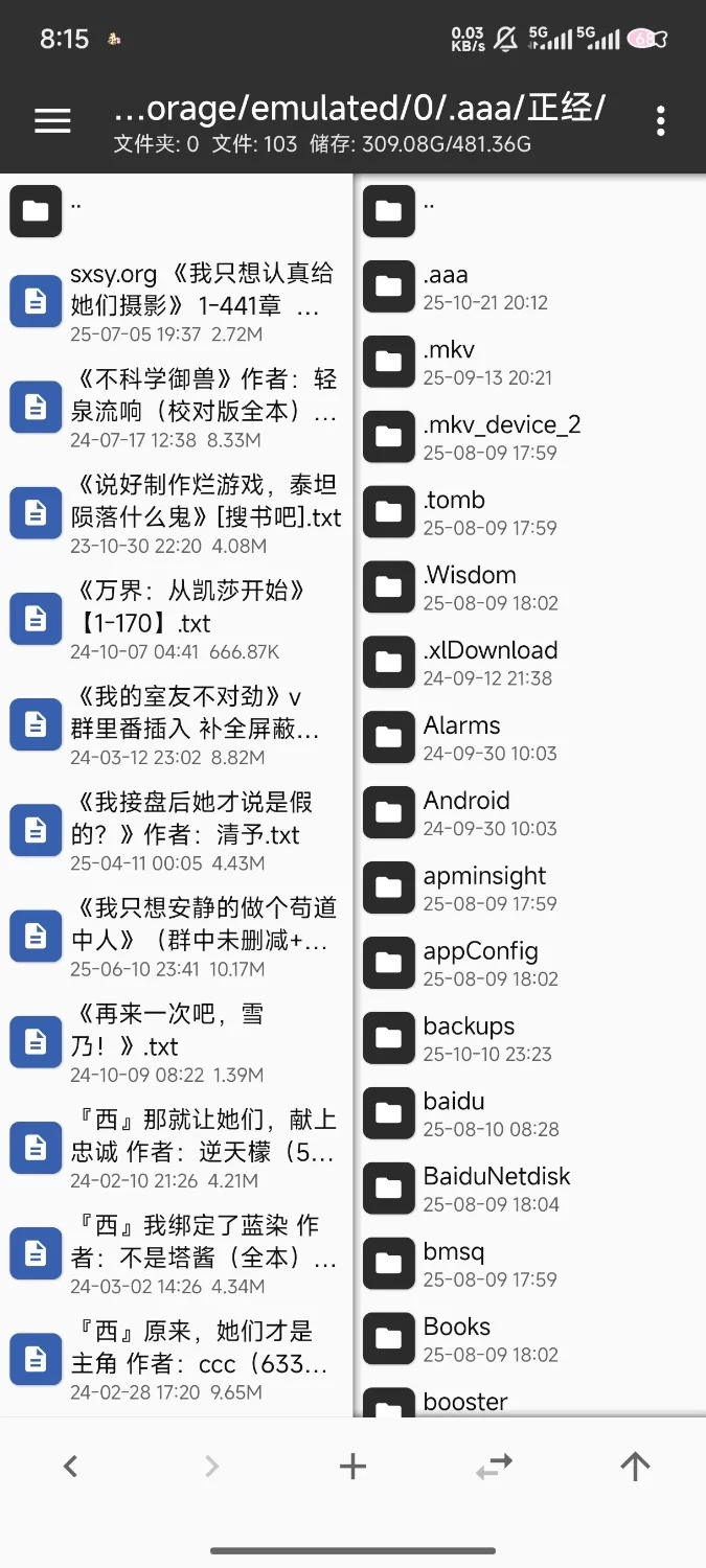 合集 小说合集1【+1G】