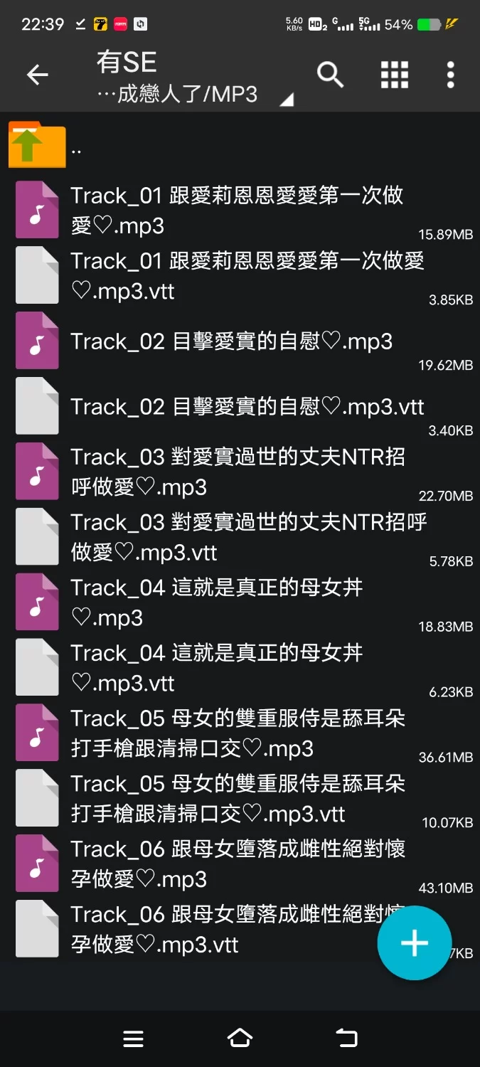 ASMR [简体中文版]碰到我与女友初次性爱后情动难耐的母亲一起成为恋人～齐声娇吟缠绵不休【6V+250M】