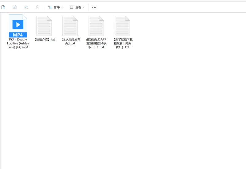 各种玩法 Deadly Fugitive (Ashley Lane)【1v+1.9G】