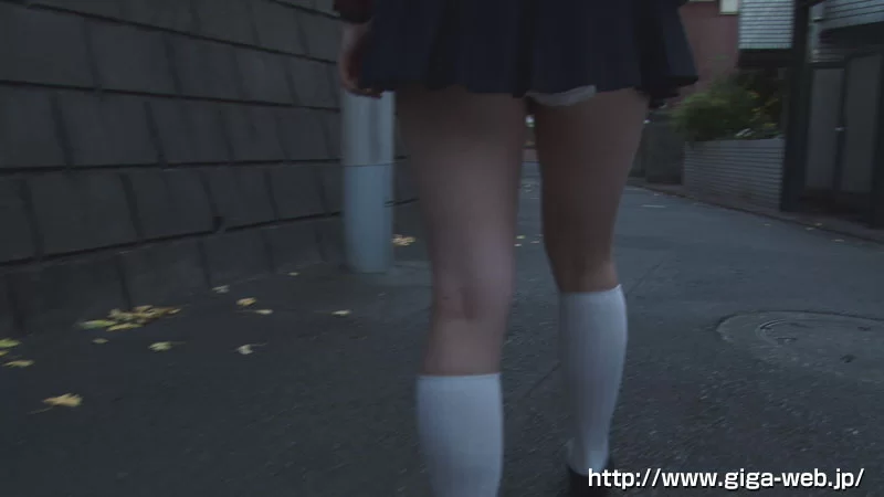 足控腿控 GGTB-29  giga原档高清1080P+6000kbps带外挂字幕版【3V+3.5G】