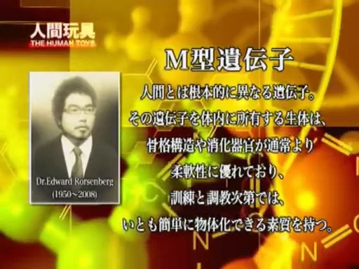 3p/多p 妄想系列之人间沙袋-人间玩具【2v+784mb】