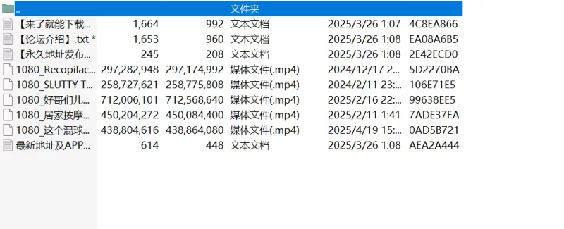 其他 臀控福利大屁股后入【5v+2G】