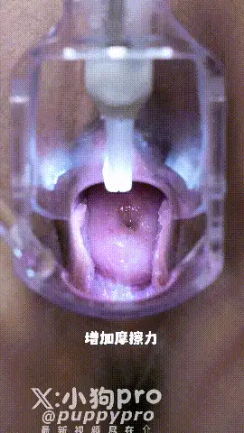 合集 极品反差福利姬[小狗pro]花式硬核调教阴道科普子宫扩张【87V+23G】