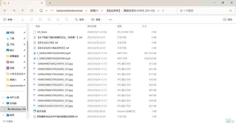 自拍 [极品泄密]，舞蹈系美女大学生【2v+1G】