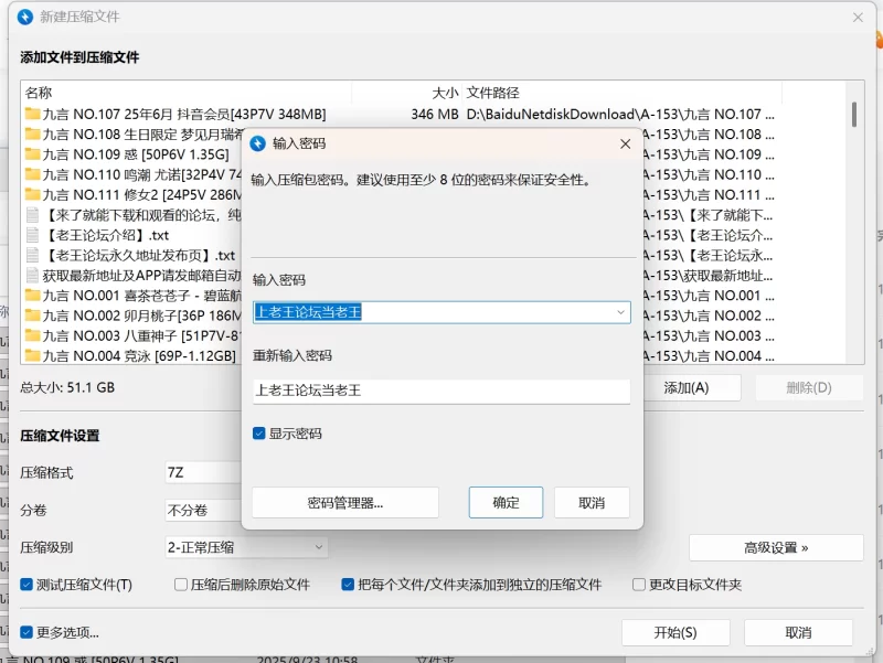Cosplay 九言写真合集111套 48GB【nvnp+48GB】