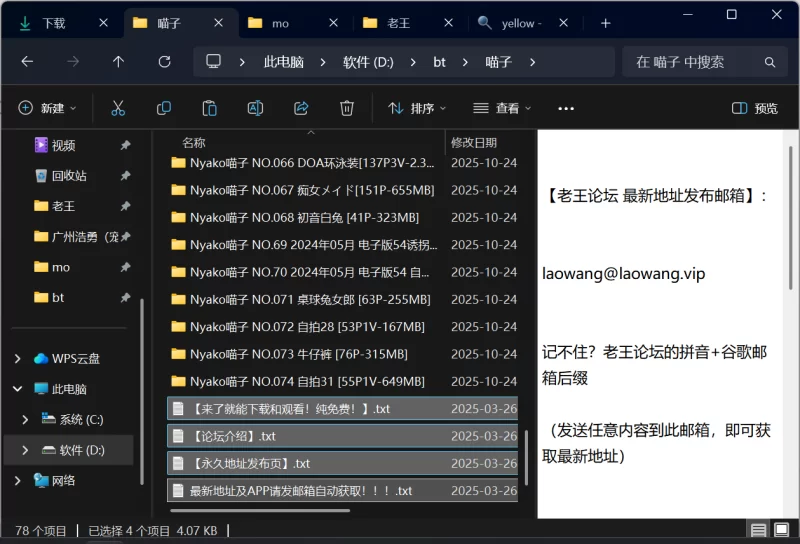 合法萝莉 Nyako喵子 合集74套 应该是素的【7348p101v+39.81GB】