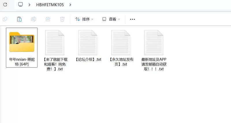 漏点 年年Nnian 最新作品 琳妮特【64P+600M】