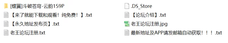 有撸点 [蝶翼]斗破苍穹-云韵【159P+1.34G】