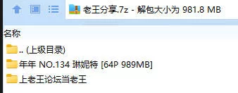 福利姬 年年 NO.134 琳妮特【64P+989MB】