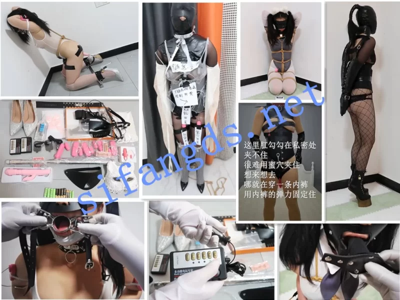 SM ⭐国产工作室⭐冬楚楚⭐调教 电击 强高 失禁 放置⭐大合集【18V+28G】