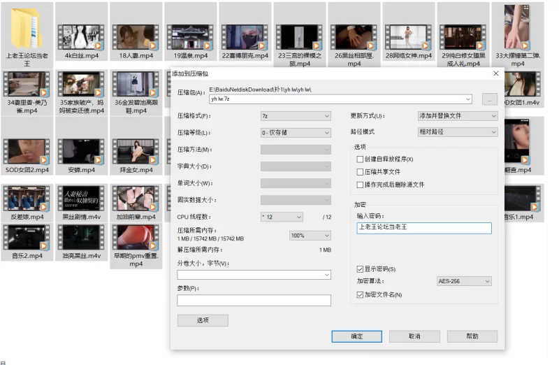 自拍 银河制品pmv 抖音风艳舞 多屏混剪 超带感视频福利合集【42v+23.4G】