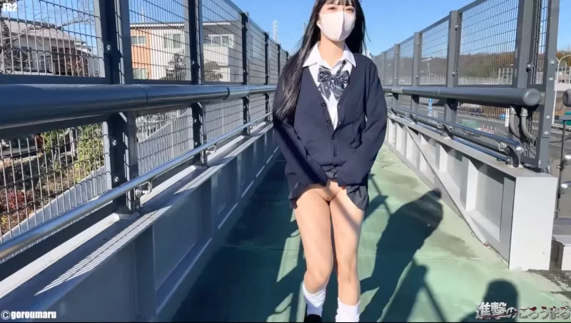 合集 户外露出 FC2卖家 進撃のごろうまる 合集-第一弹【8V+43G】