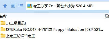 福利姬 落落Raku NO.047 小狗迷恋 Puppy Infatuation【68P+521M】