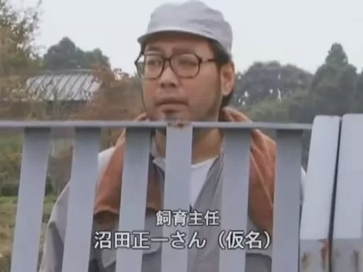3p/多p 妄想系列之人间牧场【2v+1.88g】