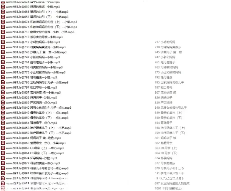 其他 R18母系音声精品合集594V/29.1G【1+29G】
