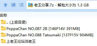 福利姬 PoppaChan 2B 龙卷 Tatsumaki  2套【146P14V+391MB】