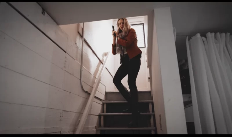 各种玩法 Deadly Fugitive (Ashley Lane)【1v+1.9G】