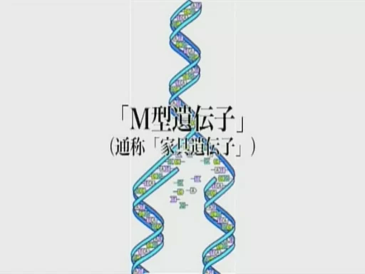 3p/多p 妄想系列之人间沙袋-人间玩具【2v+784mb】