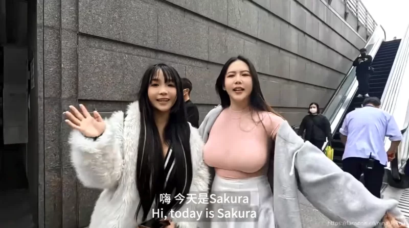 同性类 FansOne NINA (倪娜) (nina_loveu) & 苏樱花 巨乳的碰撞 用筋膜枪【1v+801M】