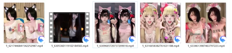 自拍 抖音腐团儿，西瓜冰，小柔AI裸舞视频脱衣【5V+380M】