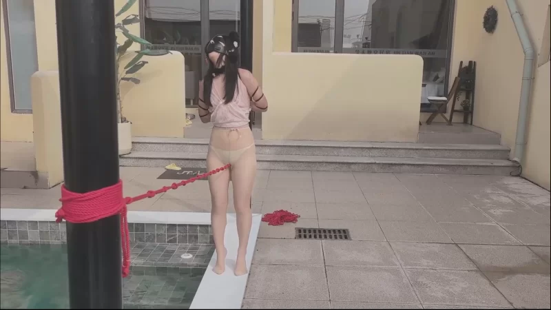 SM 独家！！！ 白城原创 人妻惩戒所小南篇【3V+5G】