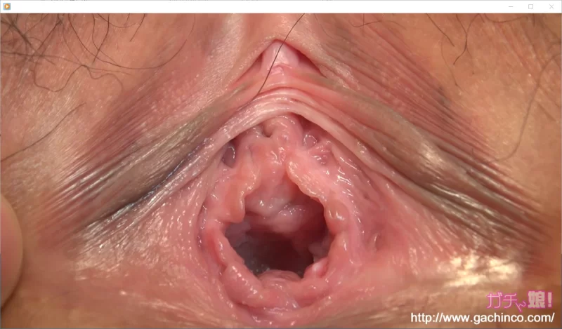 合集 GACHI精选片段合集1【6V+543M】