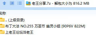 福利姬 布丁大法 NO.255 万圣节 幽灵小姐【90P6V+822M】