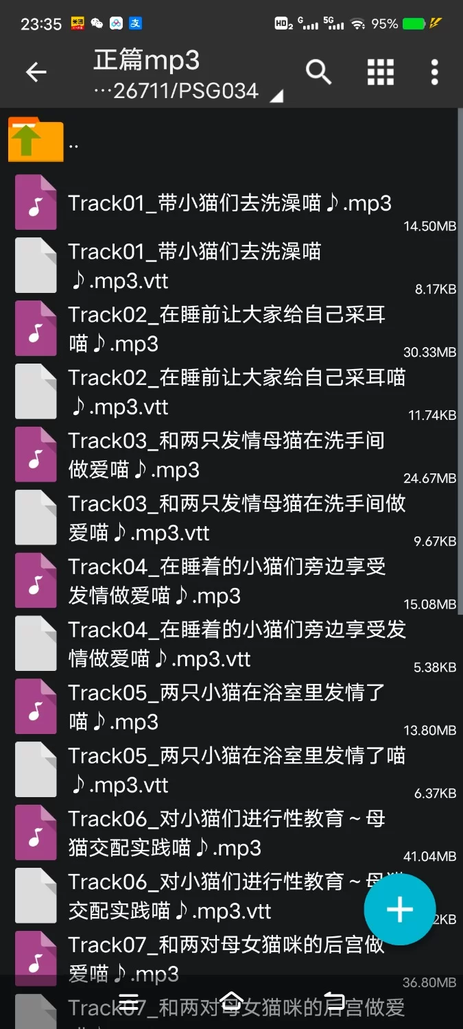 ASMR [简体中文版]舔耳喵喵超级天国 母女猫咪×2的授孕央求♪【8V+250M】