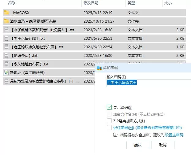 清水由乃 – 绝区零 妮可泳装【38P+325M】