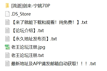 有撸点 [流逝]剑来-宁姚【70P+228M】