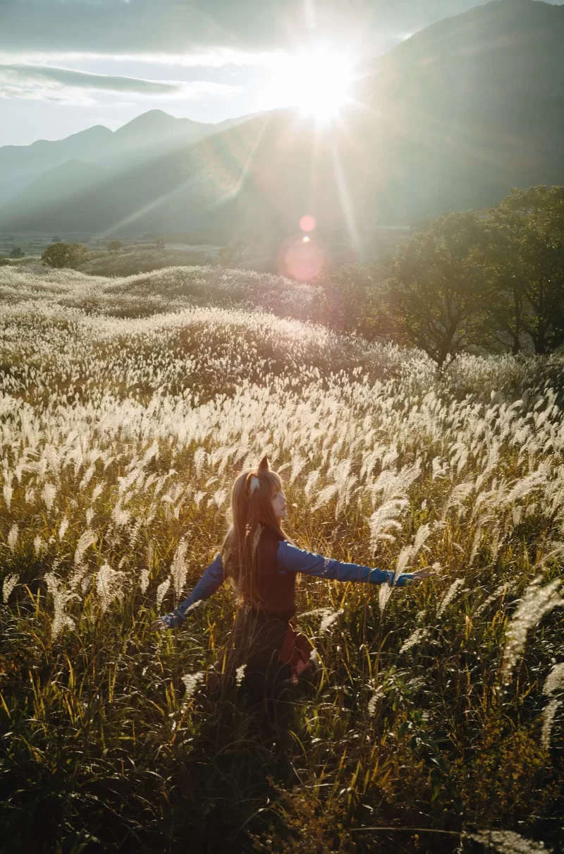 Cosplay ElyEE子 Vol.159 Soft Glow 狼與暖陽 [52P1V-190MB][百度网盘]【52P1V+190M】