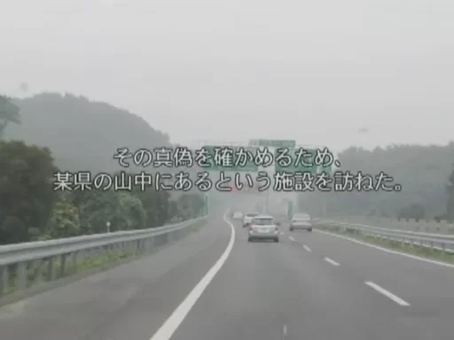 3p/多p 妄想系列之人间牧场【2v+1.88g】