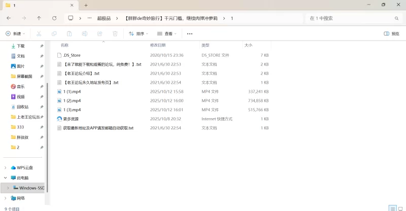 自拍 [胖胖de奇妙旅行]千元门槛，继续肉弹冲萝莉【1v+1.5G】