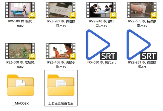 日韩AV 自收集枫老师作品中字无码破解合集【6v+42.9G】